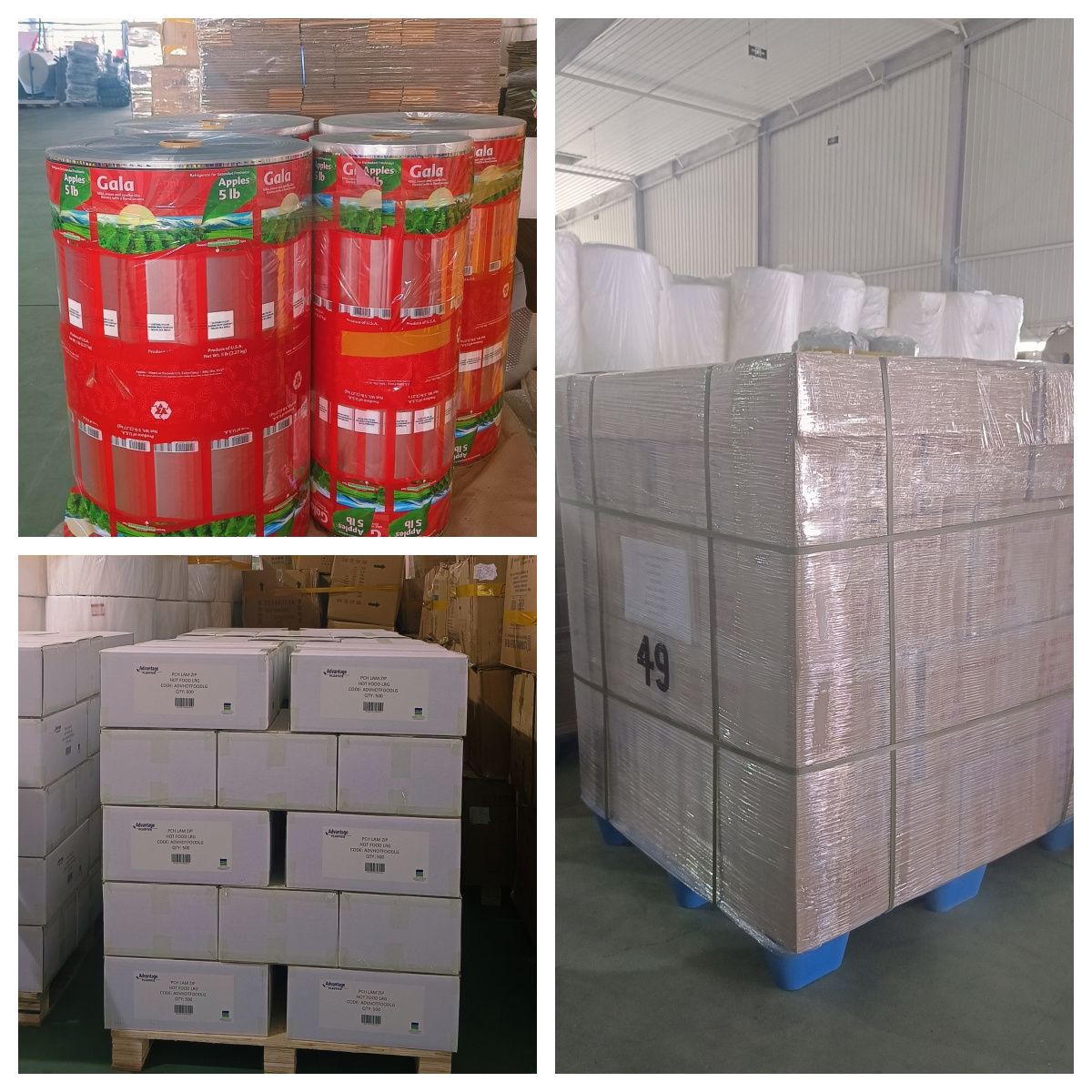 plastic bag factory 001001