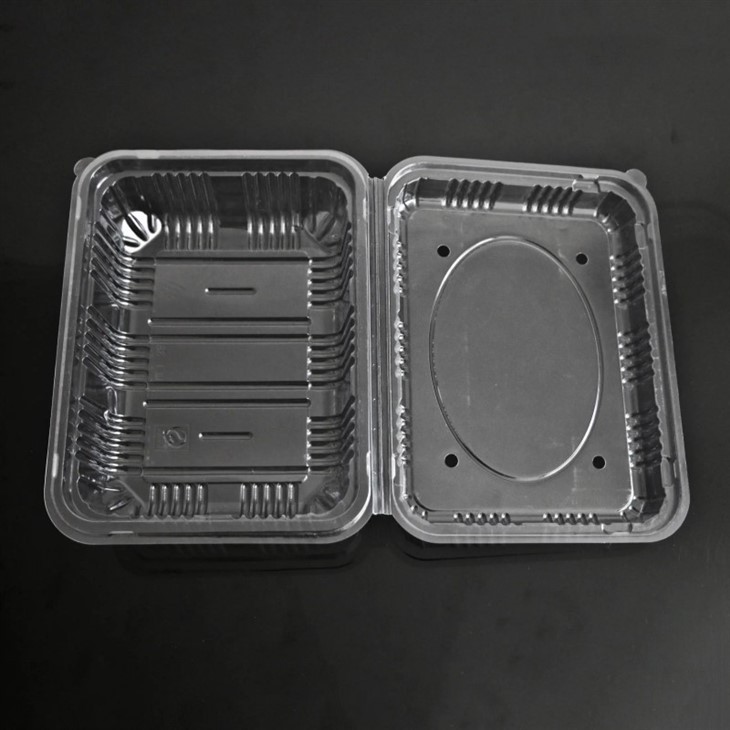 Main-05 plastic box