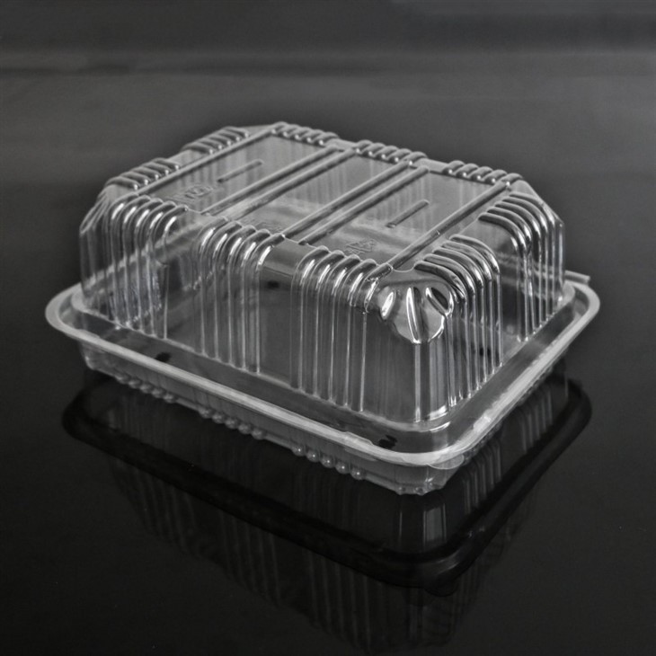 Main-02 plastic box