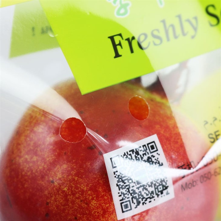 Main-06 fruit bags