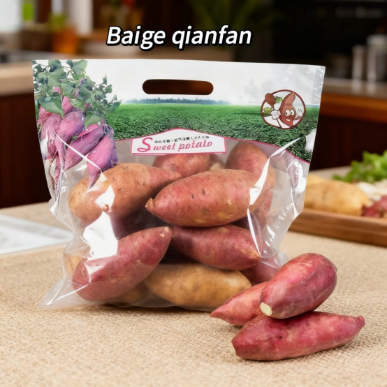 info-554-554
