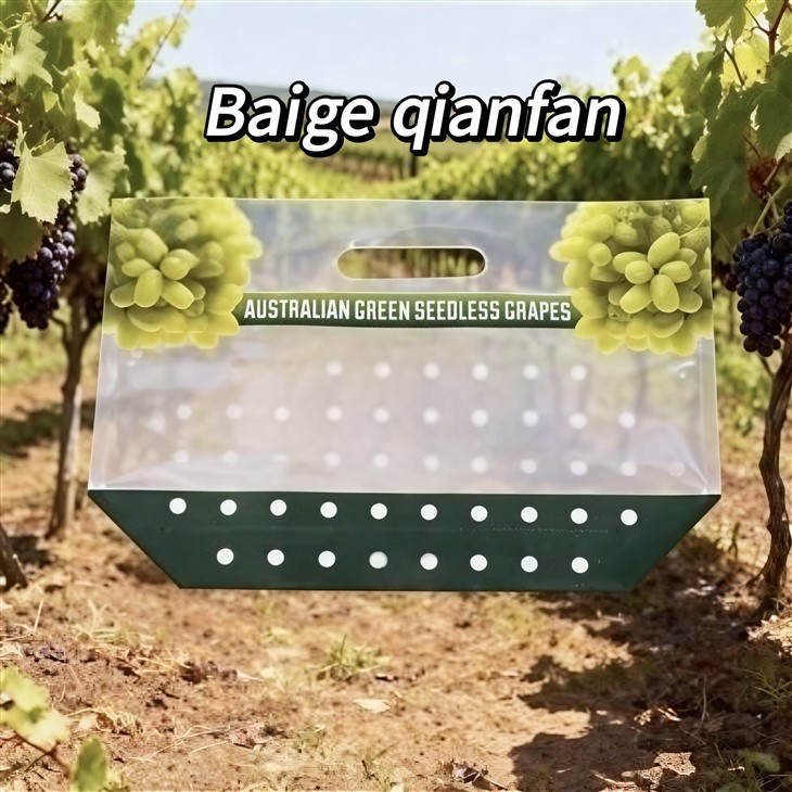 Grape packaging bags best