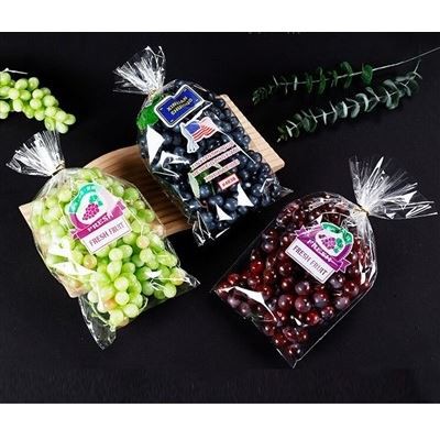 Trapezoidal Grape Bag