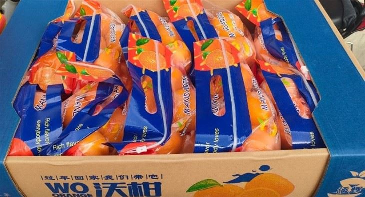 Self Standing Zipper Bag Food Packaging Grade