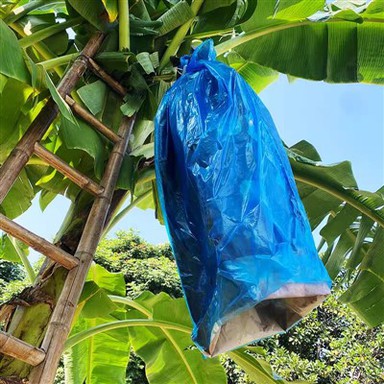 Heat Seal Plastic Blue PE Bag