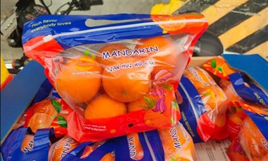 Self Standing Zipper Bag Food Packaging Grade